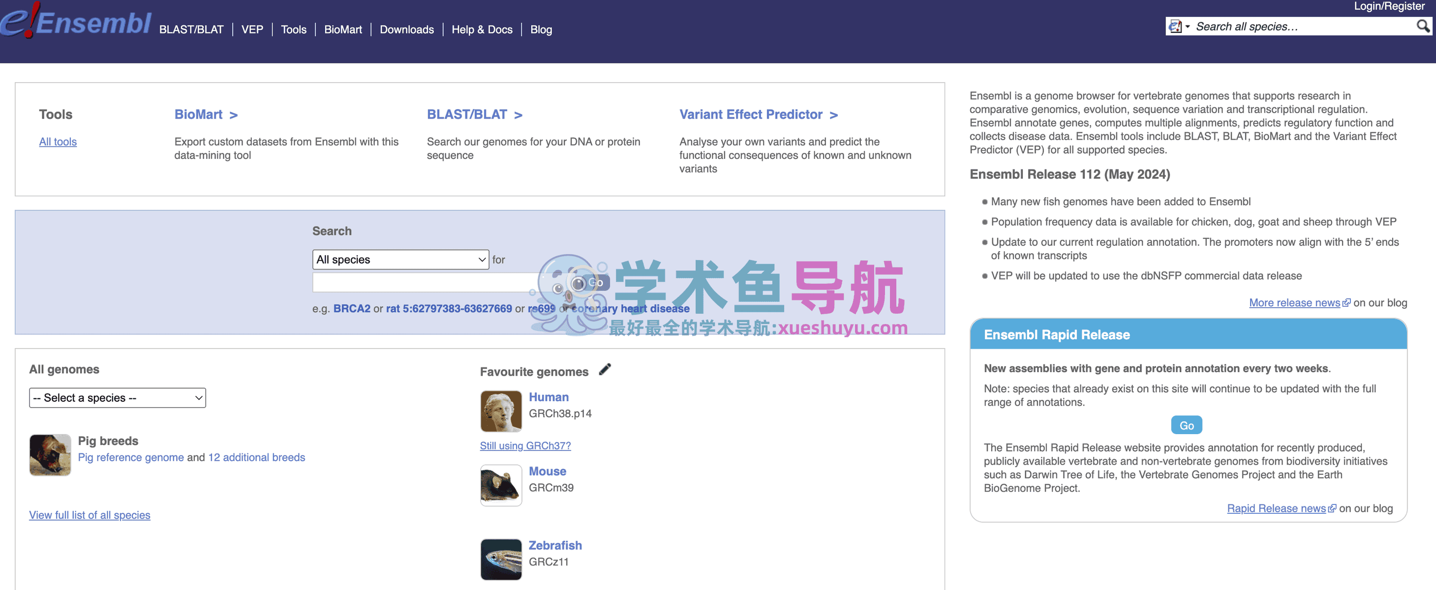 GENCODE数据库