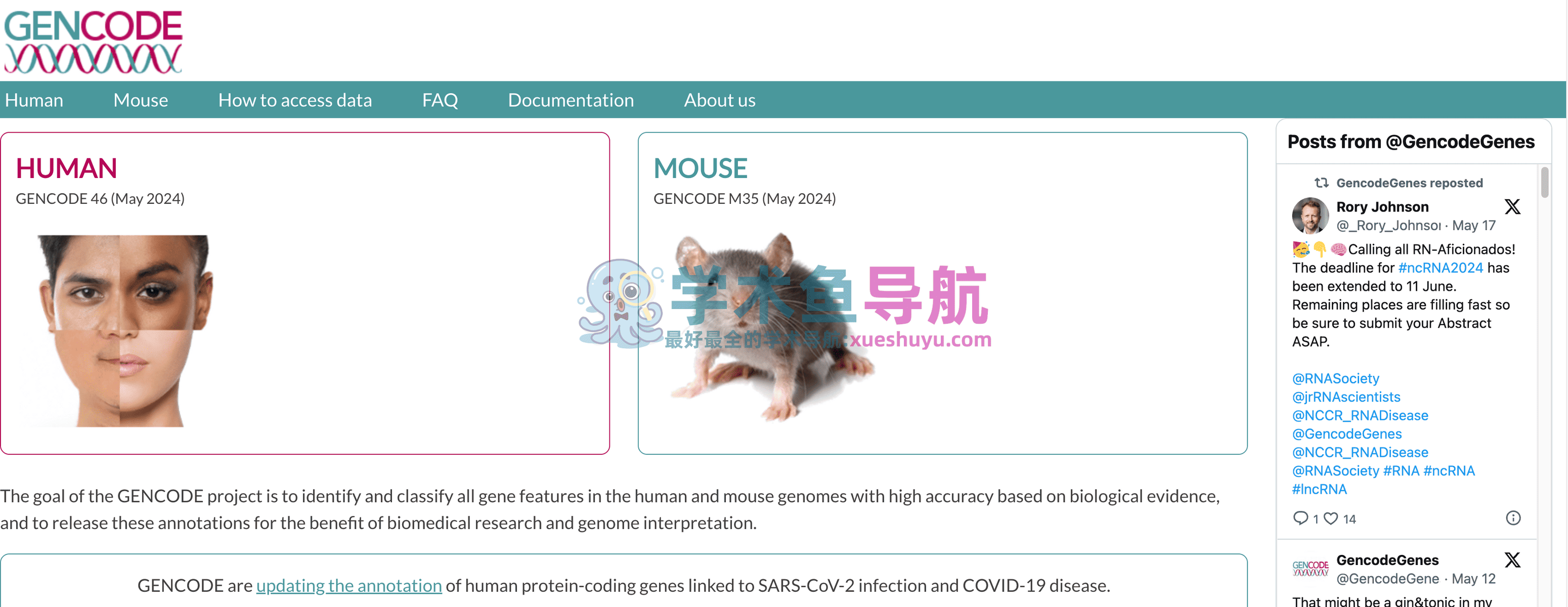 GENCODE数据库