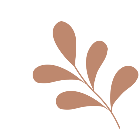 科研人必看!文献管理神器大盘点