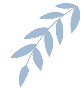 科研人必看!文献管理神器大盘点