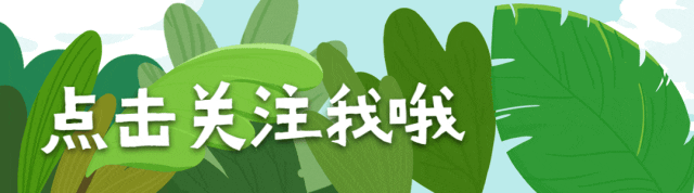PDF导入EndNote却信息缺失?这个方法一键补全,效率翻倍!