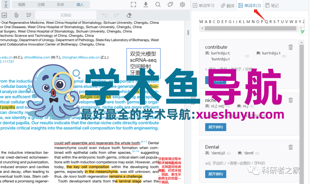 用这个神器读文献:一天100篇不止