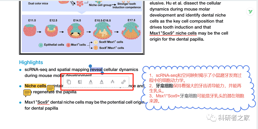 用这个神器读文献:一天100篇不止