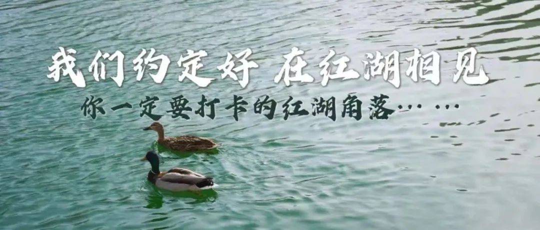 科研必备 | 高效阅读英文文献的神器推荐！