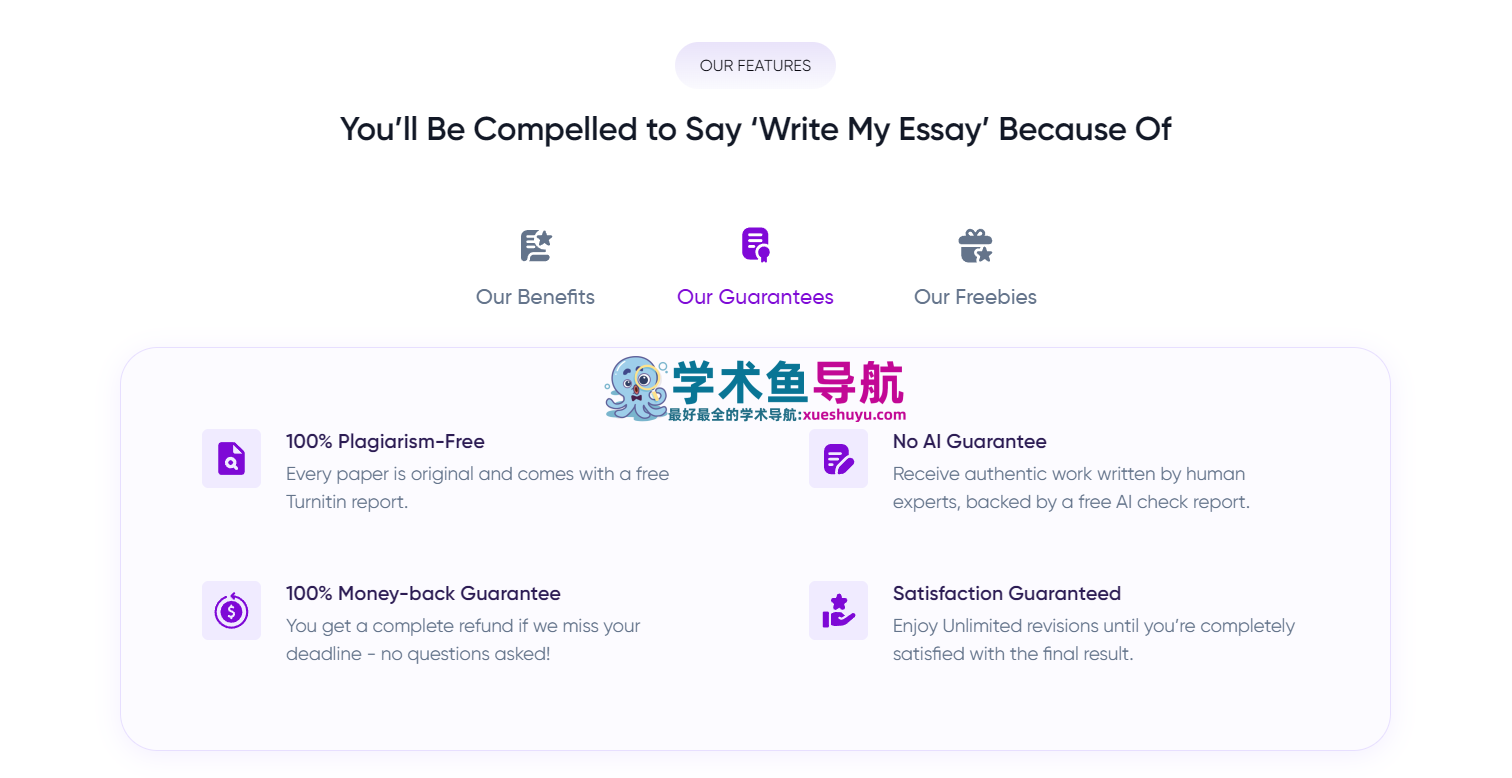 EssayService.ai