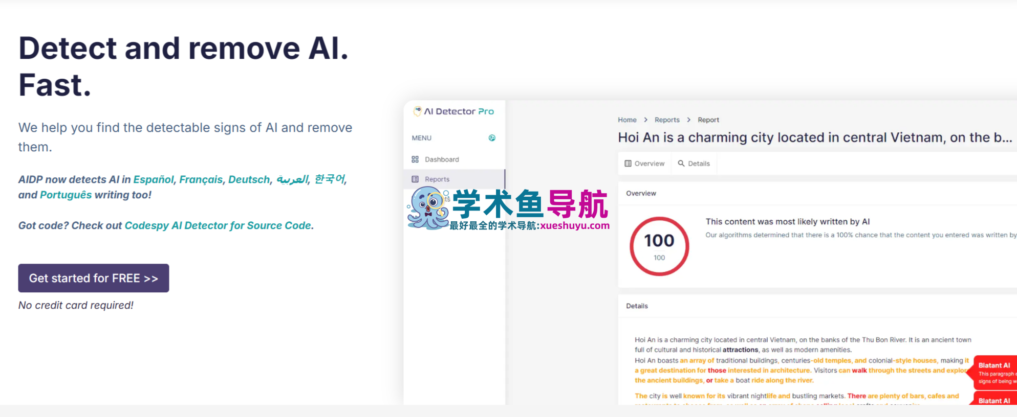 AI Detector Pro