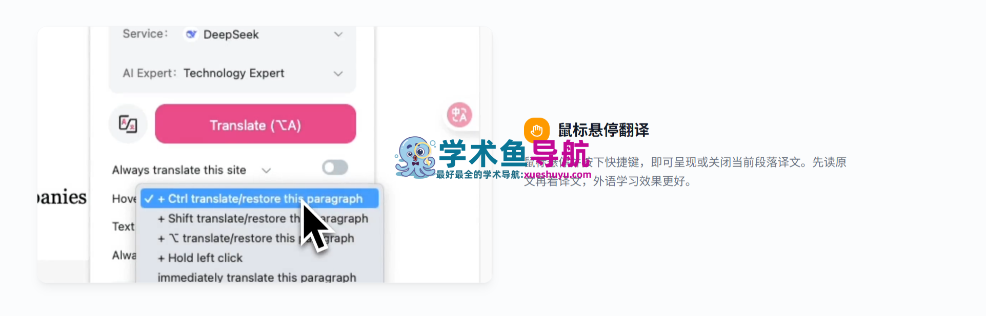 Immersive Translate