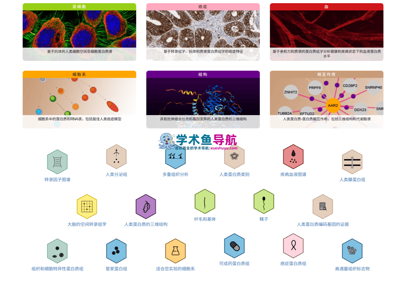 The Human Protein Atlas