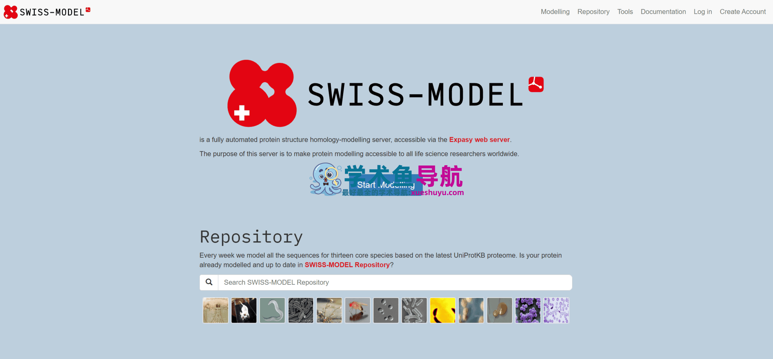 SWISS-MODEL