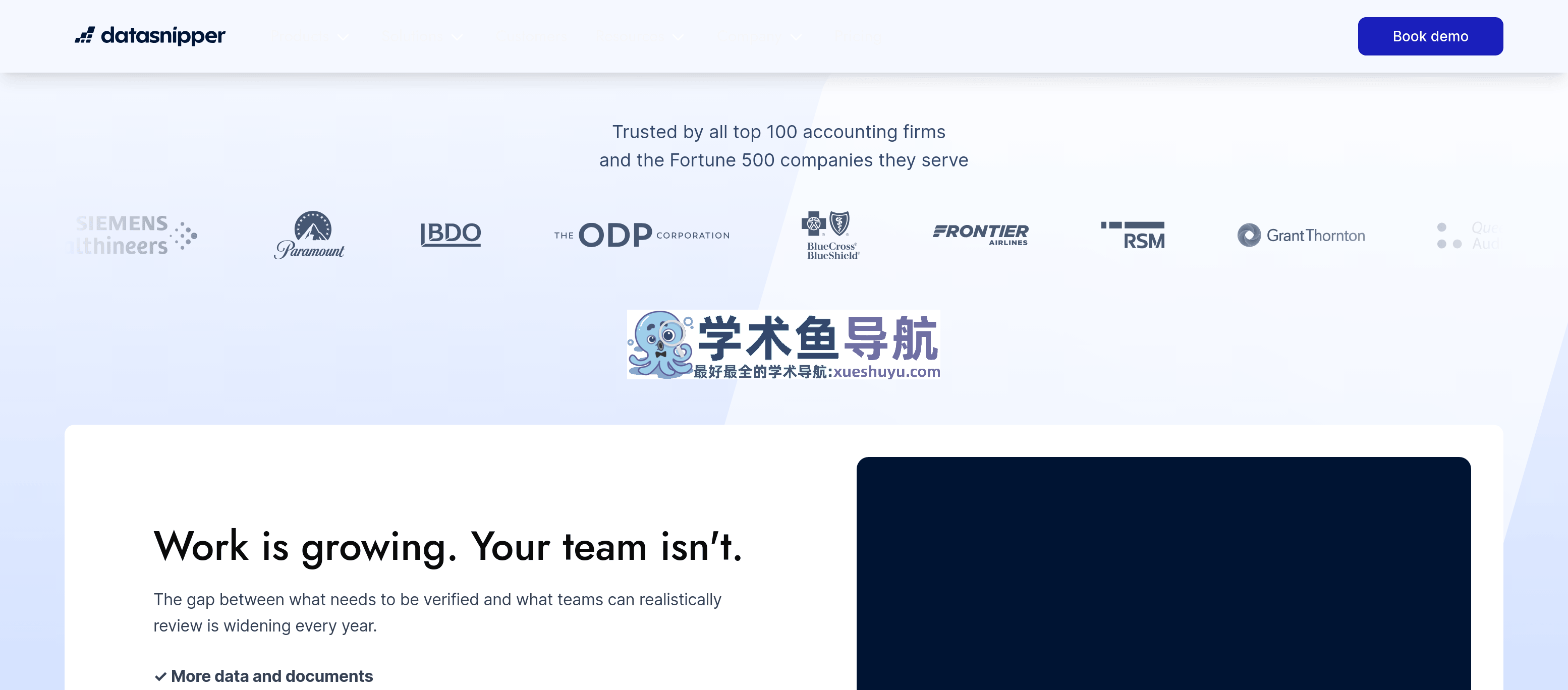 DataSnipper